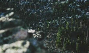 配置指南